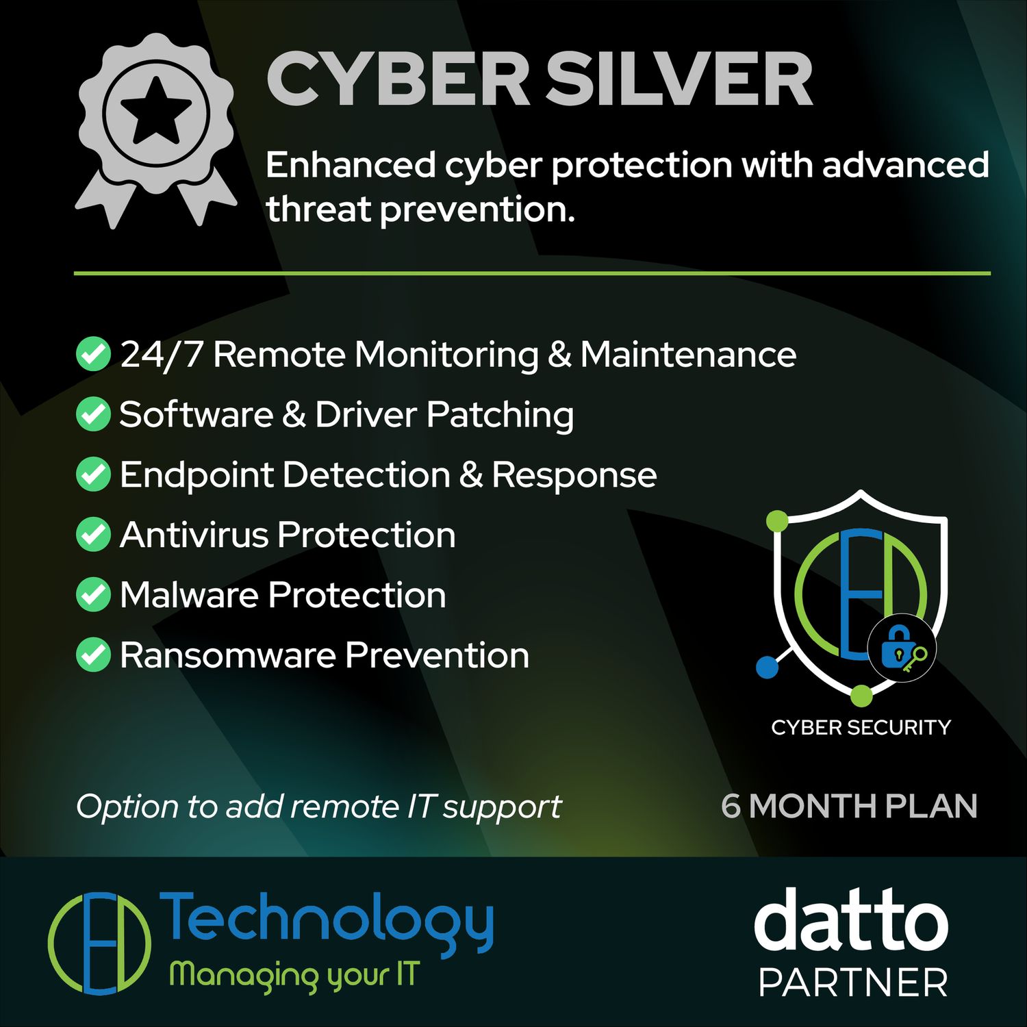 Cyber Silver Plan - 6 months