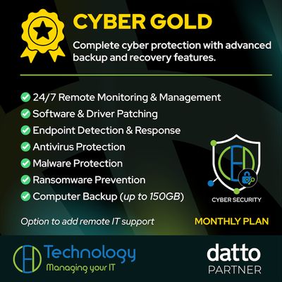 Cyber Security Gold (BF)