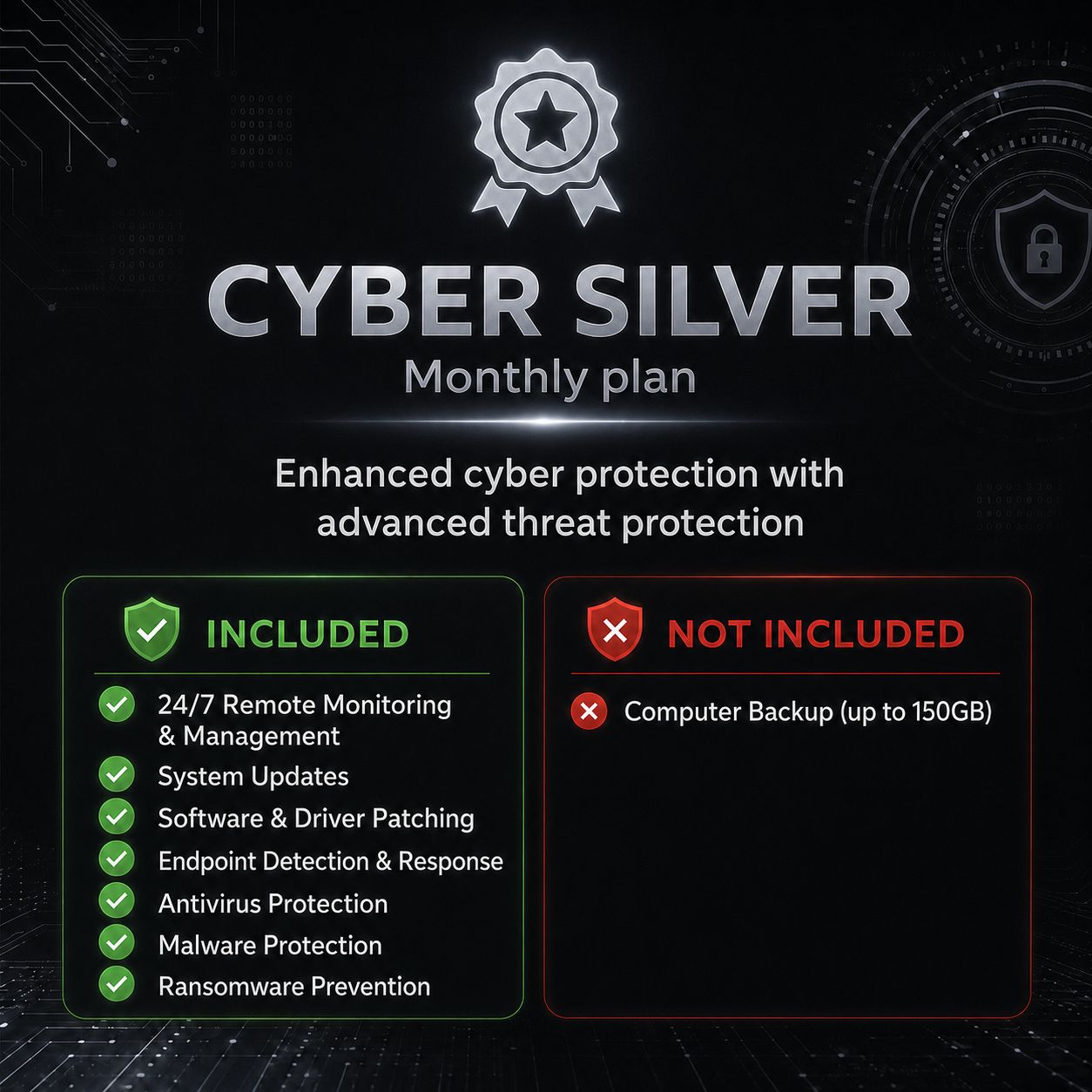 Cyber Security Silver