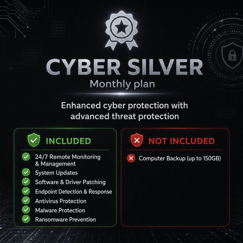 Cyber Security Silver