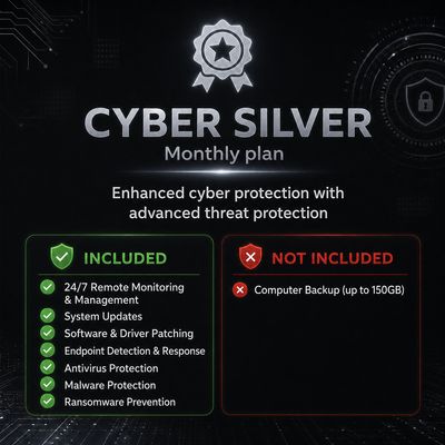 Cyber Security Silver Cyber Security Silver