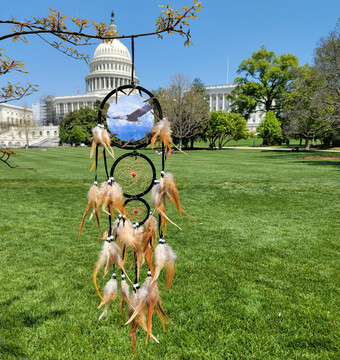 American Spirit Dream Catcher