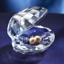 Gifts - Earrings - Oyster with Pearls