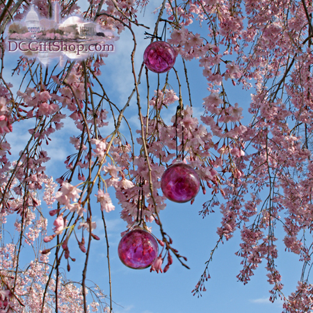 Ornaments - Glass - Cherry Blossom Glass Balls (Set of 3)