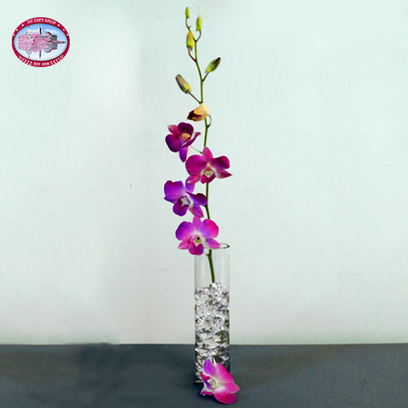 Gifts - Mother's Day - Single Purple Orchid with Vase