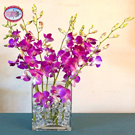 Gifts - Mother's Day - Purple Orchid Arrangement