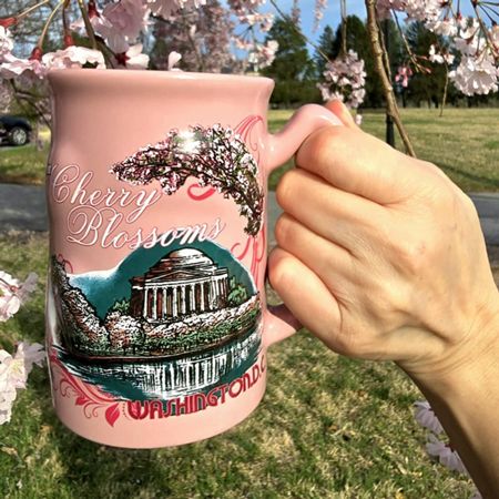 Washington DC Cherry Blossom Tall Barrel Mug