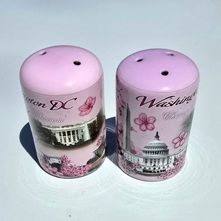 Washington DC Cherry Blossom Salt and Pepper Shaker Set