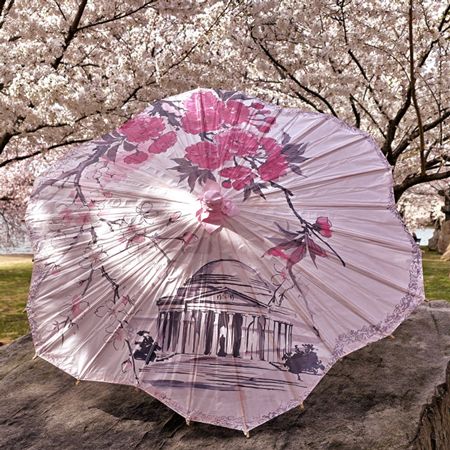 Oil Paper Jefferson Memorial Cherry Blossom Parasol