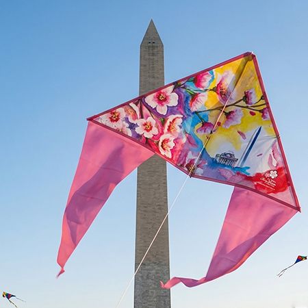National Cherry Blossom Festival Kite