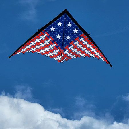 11 ft. Large Patriotic Mesh Delta Kite