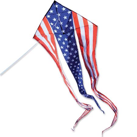 46 in. Flo-Train Delta Kite with 10ft Tail