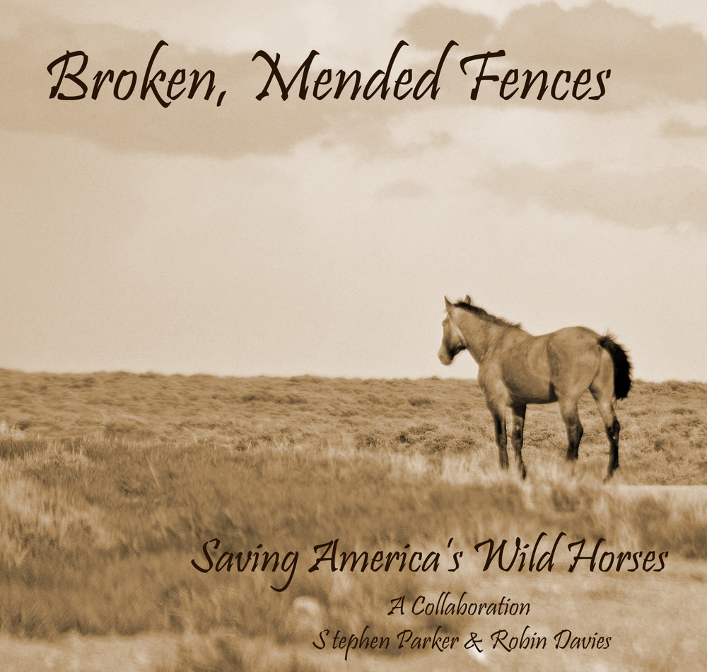 Broken Mended Fences - sepia postcard print Broken Mended Fences - sepia postcard print