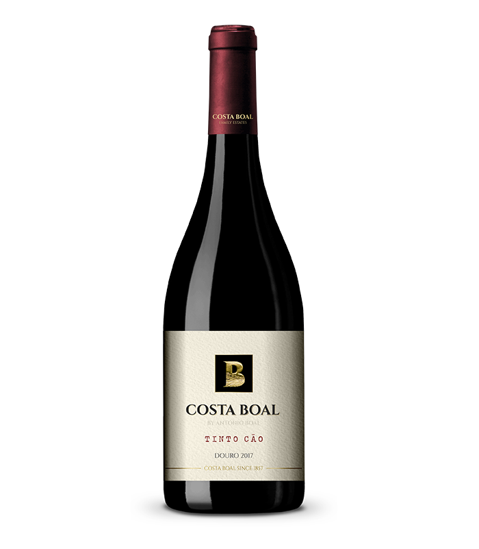 Costa Boal Tinto Cão