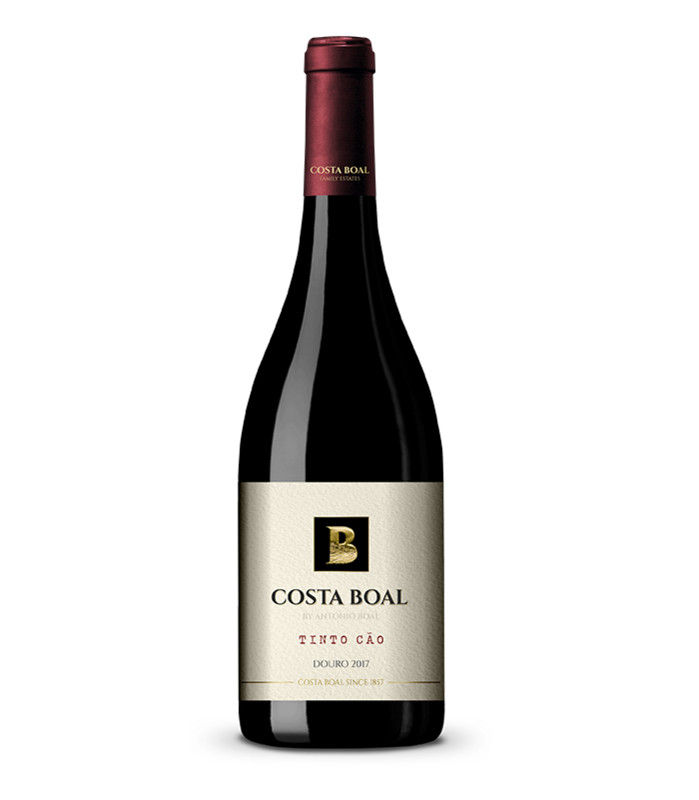 Costa Boal Tinto Cão