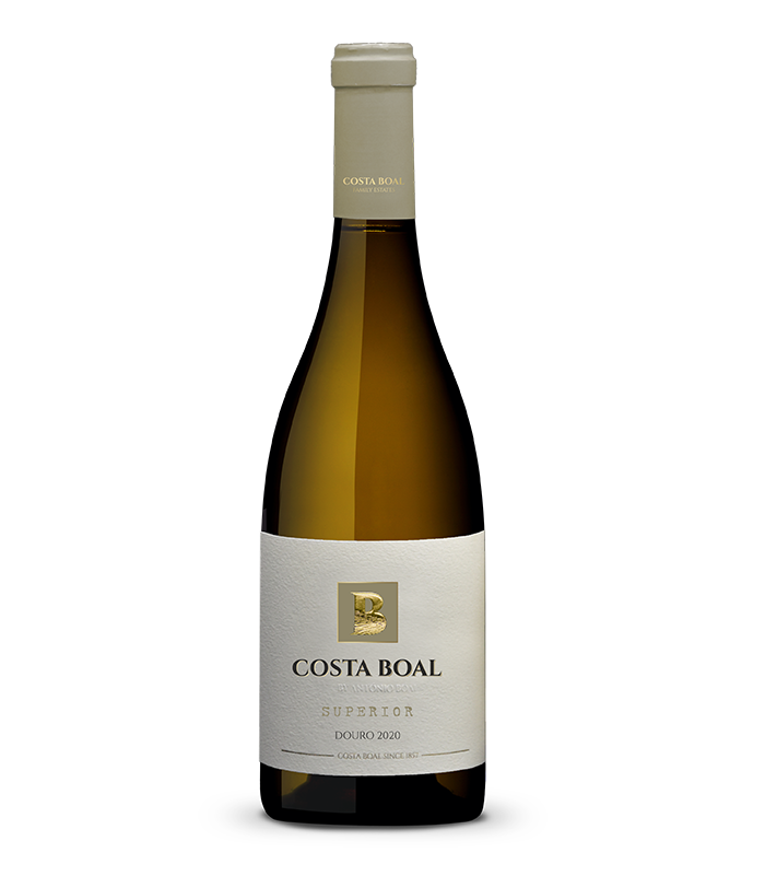 Costa Boal Superior Branco