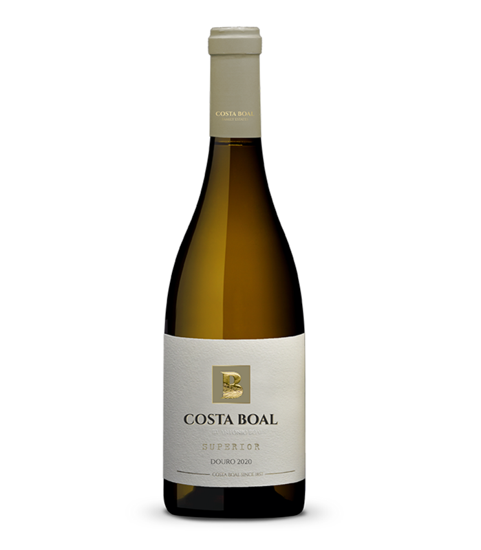 Costa Boal Superior Branco