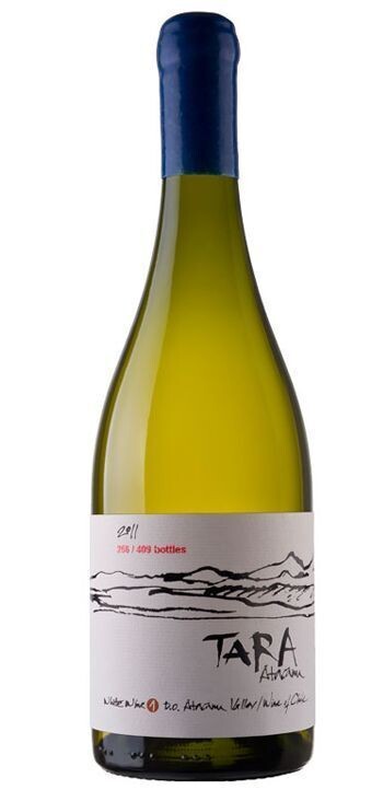 Vinho Branco Tara Chardonnay