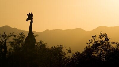 Africa do Sul