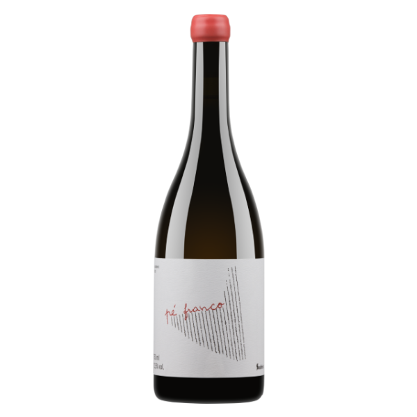 SOALHEIRO ALVARINHO PÉ FRANCO