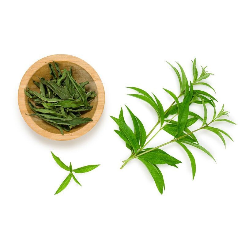 INFUSÃO SOALHEIRO LÚCIA LIMA 20 UNIDOSES LATA