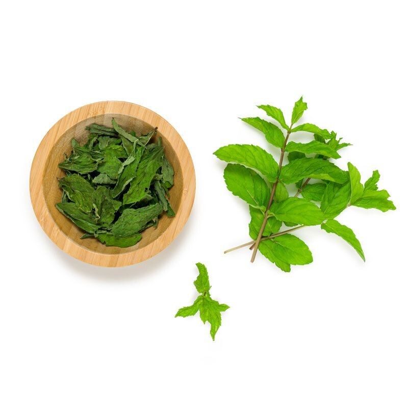 INFUSÃO SOALHEIRO HORTELÃ VERDE 20 UNIDOSES LATA
