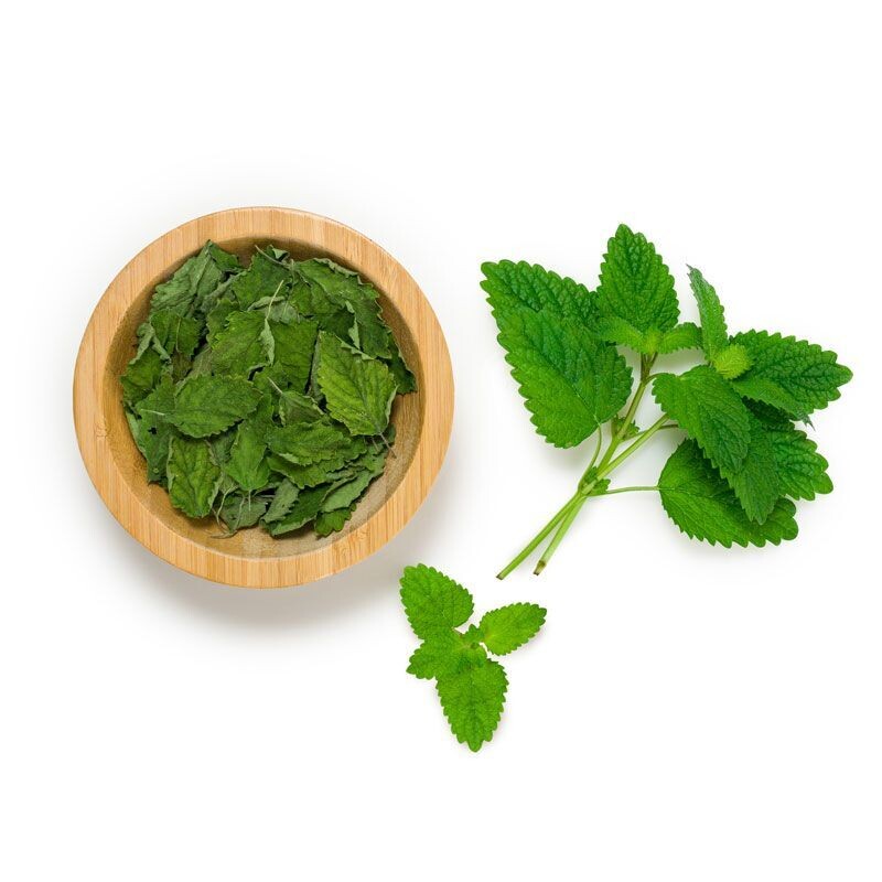 INFUSÃO SOALHEIRO CIDREIRA 20 UNIDOSES LATA