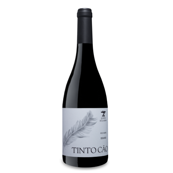 TINTO CÃO