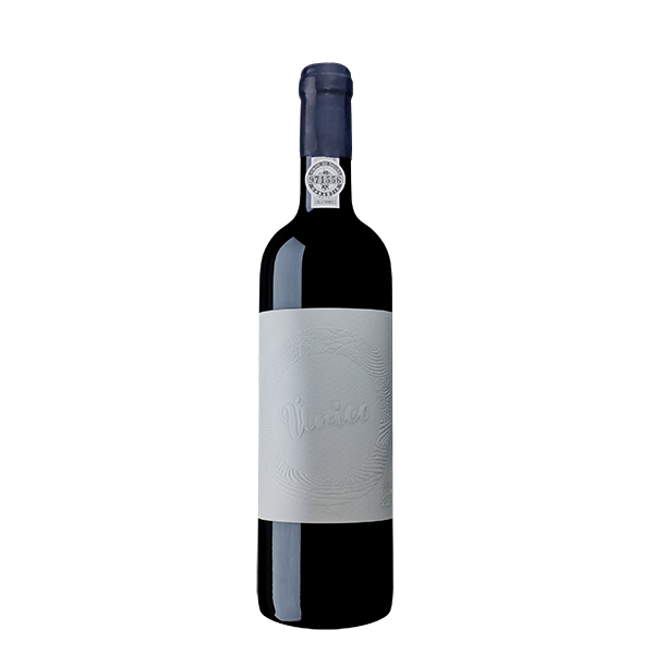 CONCEITO ÚNICO TINTO