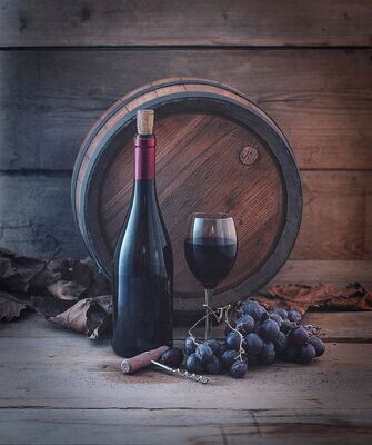 Vinhos do Mundo