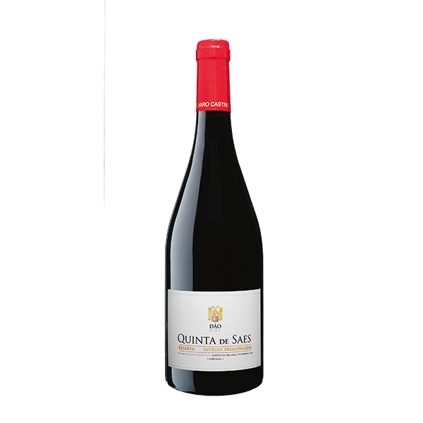 QUINTA DA PELLADA - QUINTA DE SAES ESTÁGIO PROLONGADO
