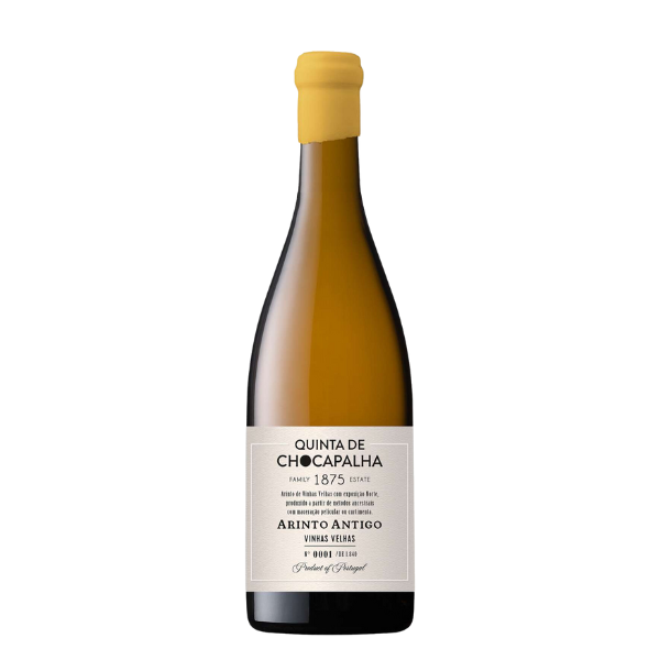QUINTA DE CHOCAPALHA ARINTO ANTIGO VV