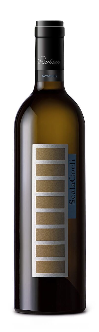 Scala Coeli branco 2021 (Alvarinho)