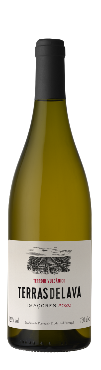 Pico Wines - Terras de Lava Branco