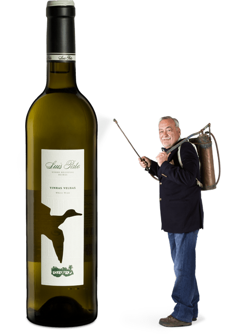 Luís Pato - Vinhas Velhas Branco