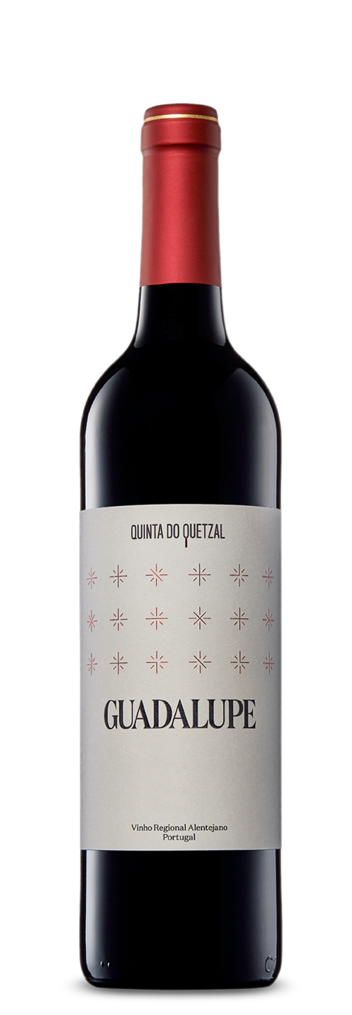 GUADALUPE TINTO