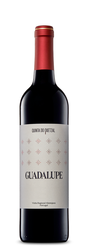 GUADALUPE TINTO