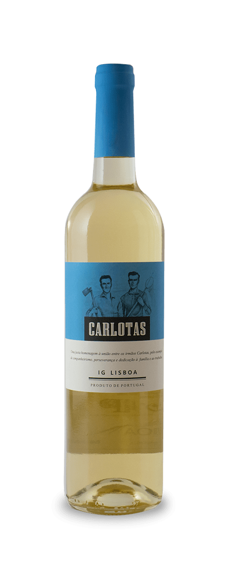 CARLOTAS BRANCO