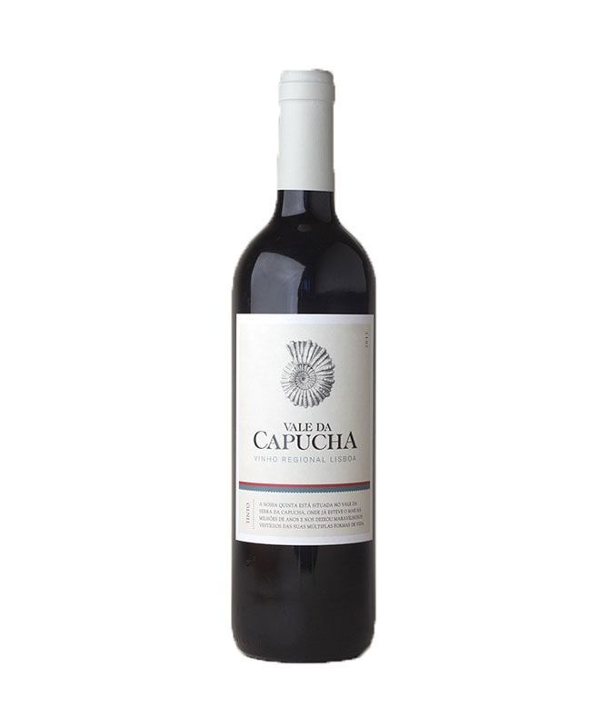 VALE DA CAPUCHA VINHA TEIMOSA