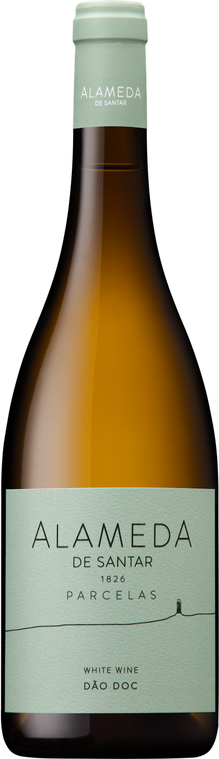 Quinta da Alameda Parcelas
Branco