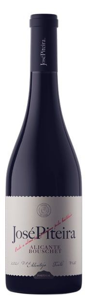 JOSÉ PITEIRA ALICANTE BOUSCHET
