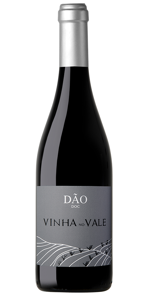 Vinha no Vale Tinto 2017