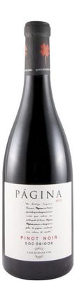 PAGINA 2022 PINOT NOIR