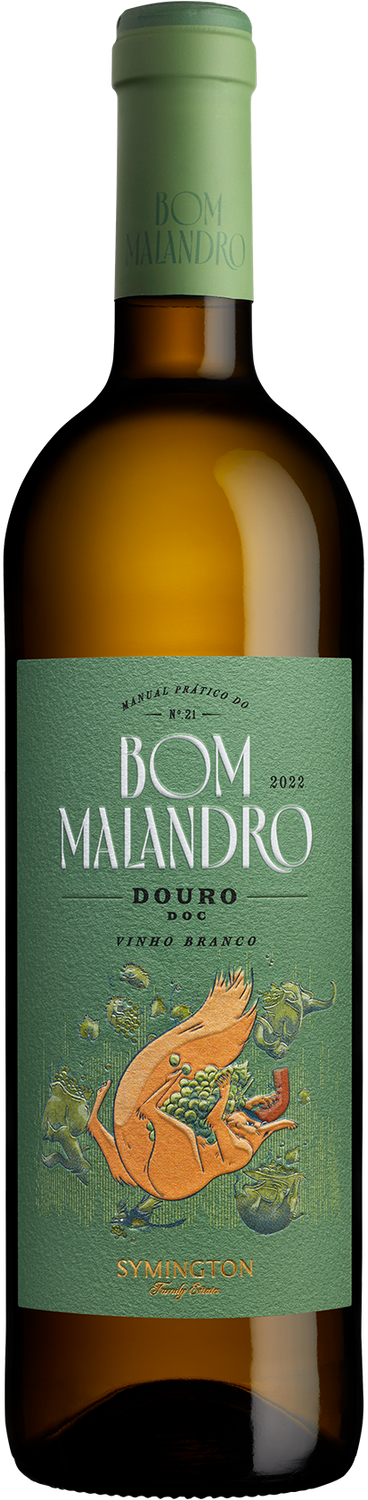 Bom Malandro Branco