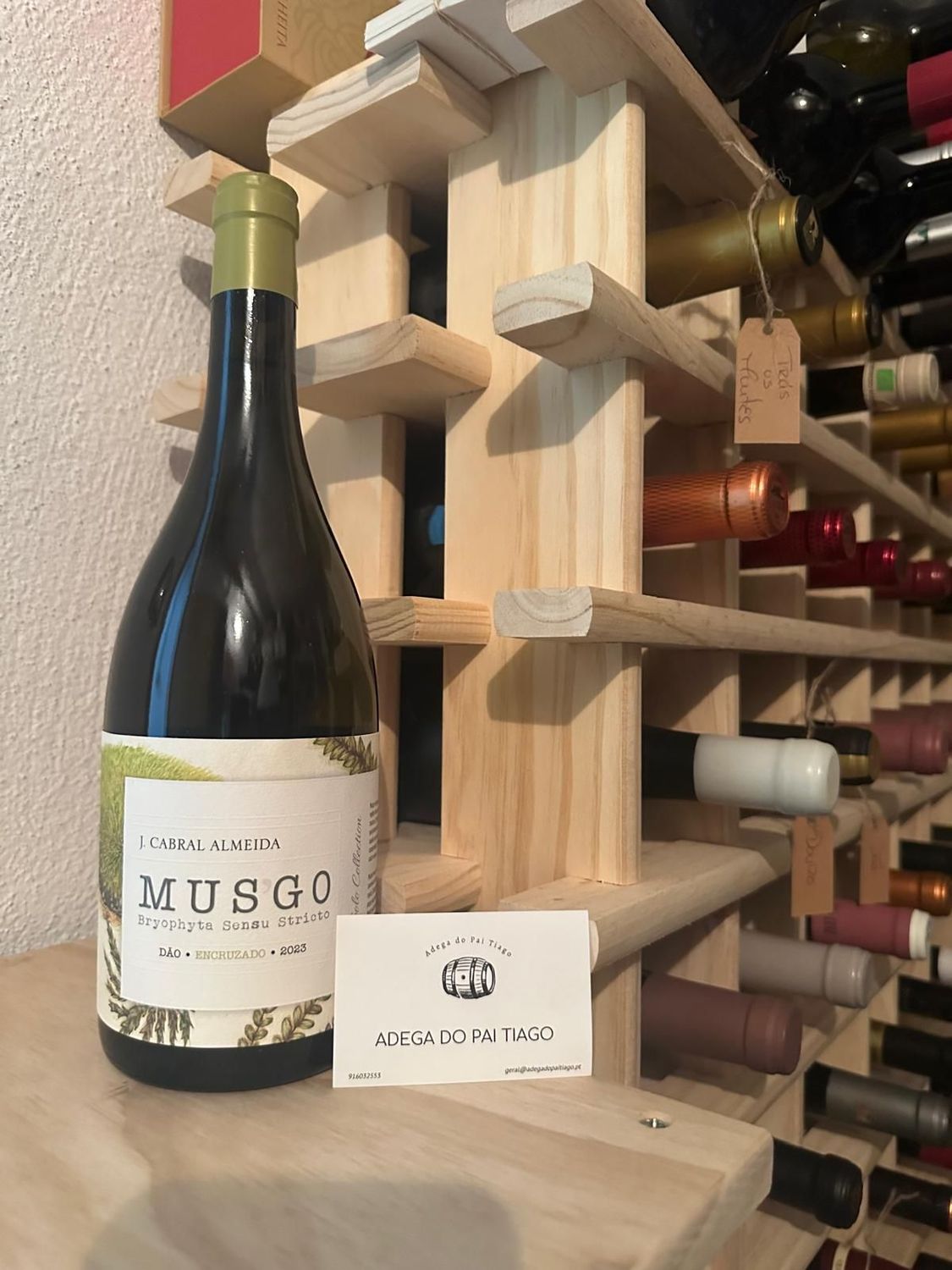 Vinho Musgo Encruzado Branco