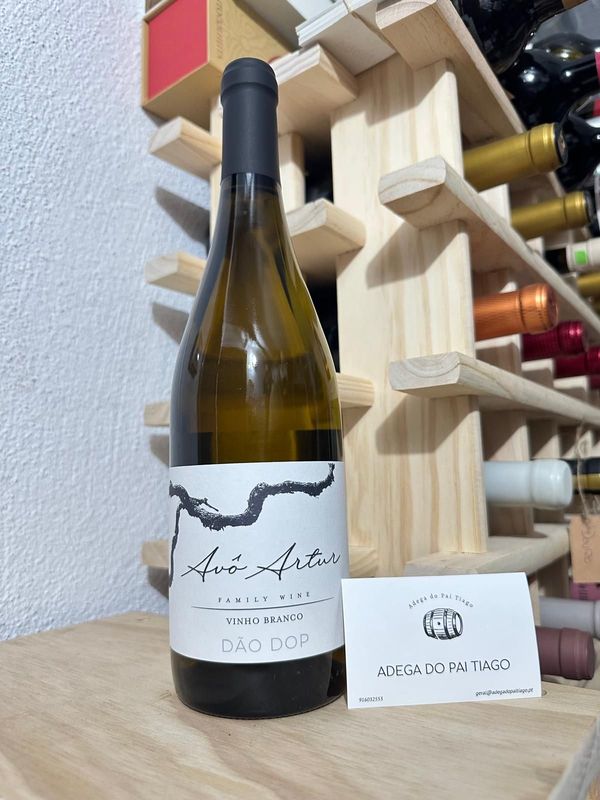 AVÔ ARTUR BRANCO