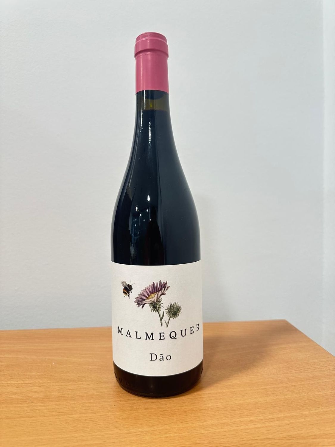 Malmequer Tinto