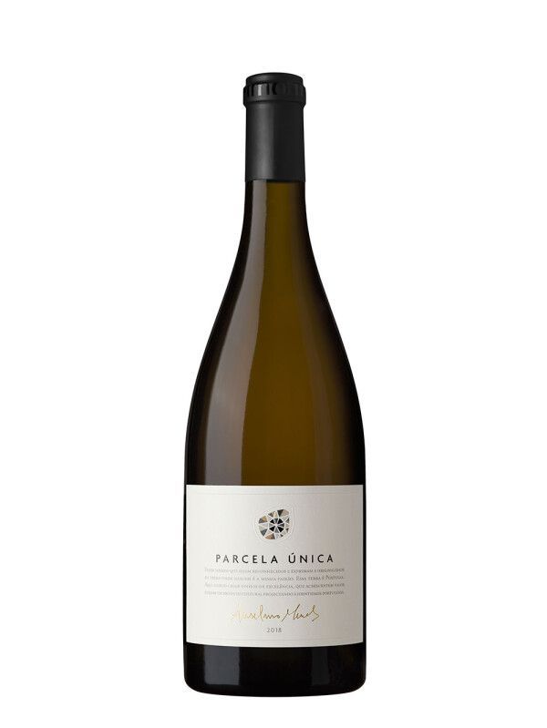 Parcela Única - Anselmo Mendes