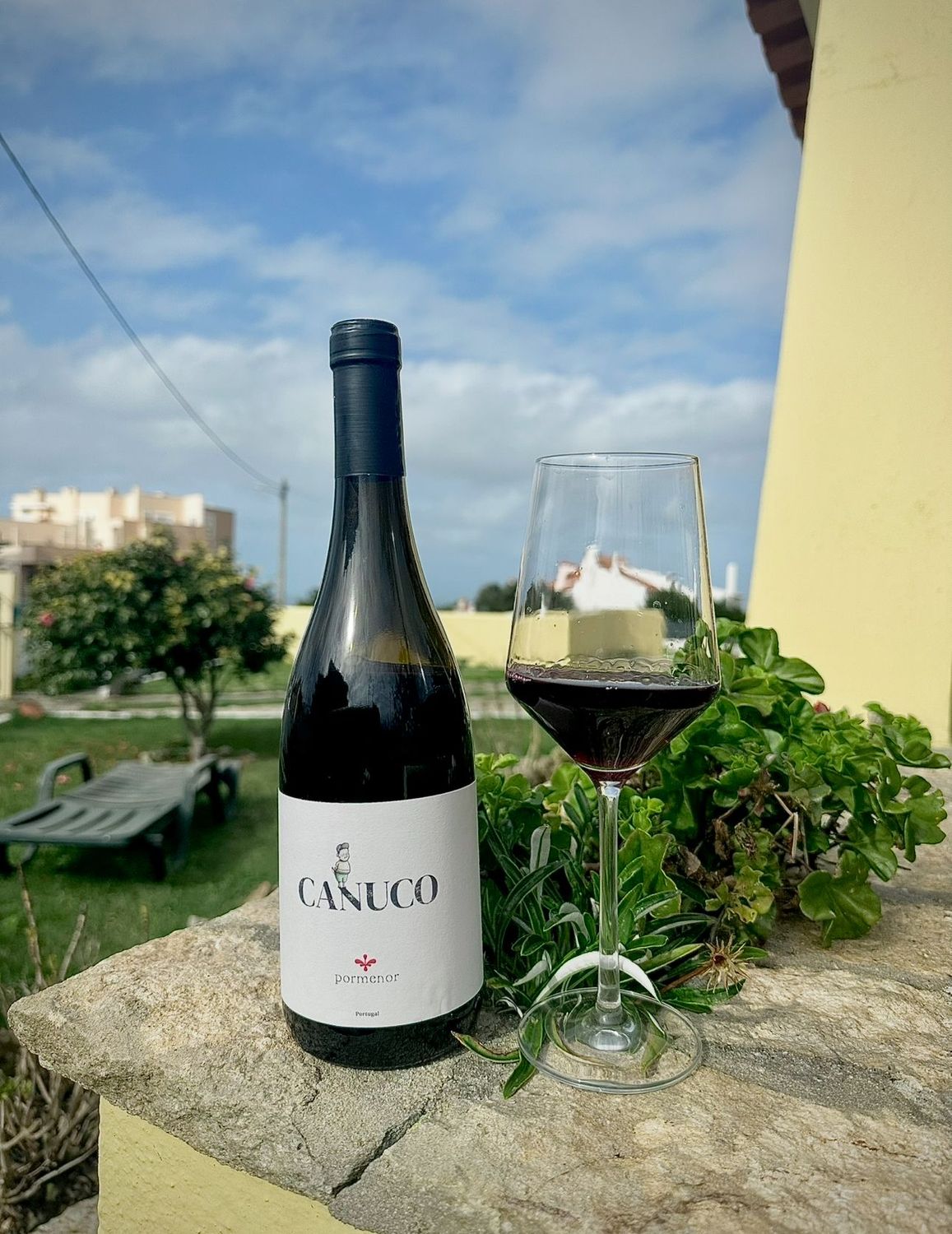 Pormenor Canuco Tinto