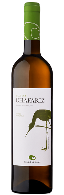 VALE DO CHAFARIZ BRANCO 2023